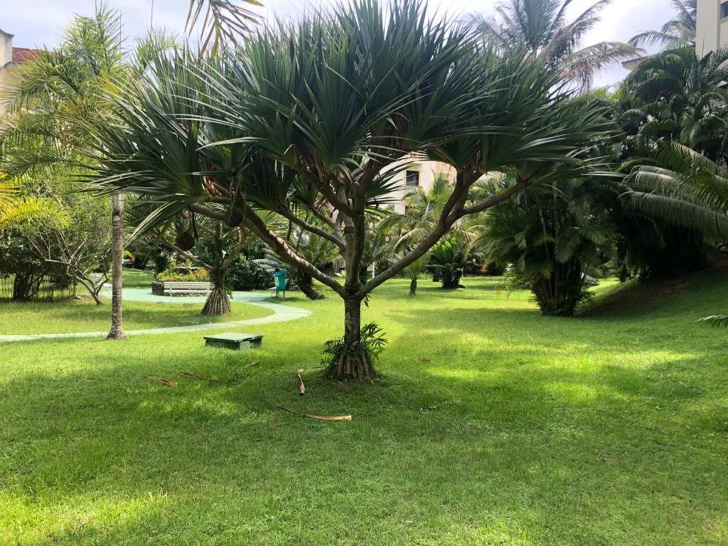 Apartamento Wembley Tenis - Toninhas - Ubatuba Bagian luar foto